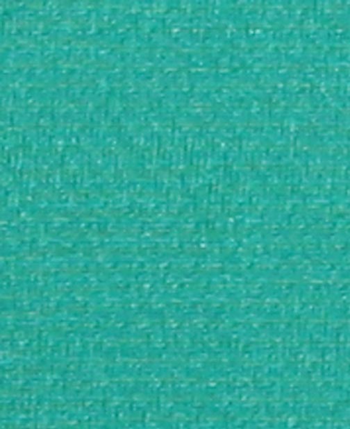 PE